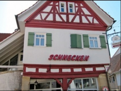 Foto: Schnecken