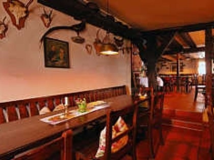 Foto: Schnecken