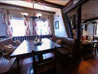Foto: Schnecken